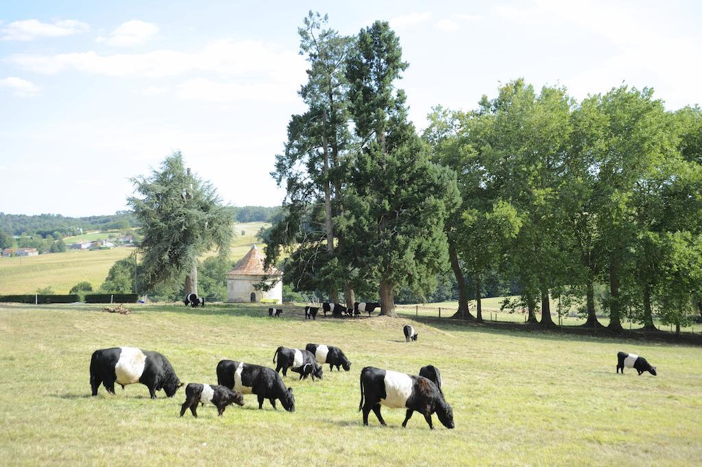 Chateau De Lerse Bed & Breakfast Perignac  Dış mekan fotoğraf